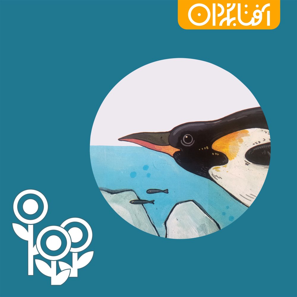 خانه‌ی قشنگ من کجای زمین است؟