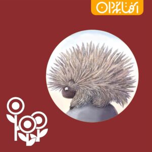 سنگی نشسته بود ساکت و آرام